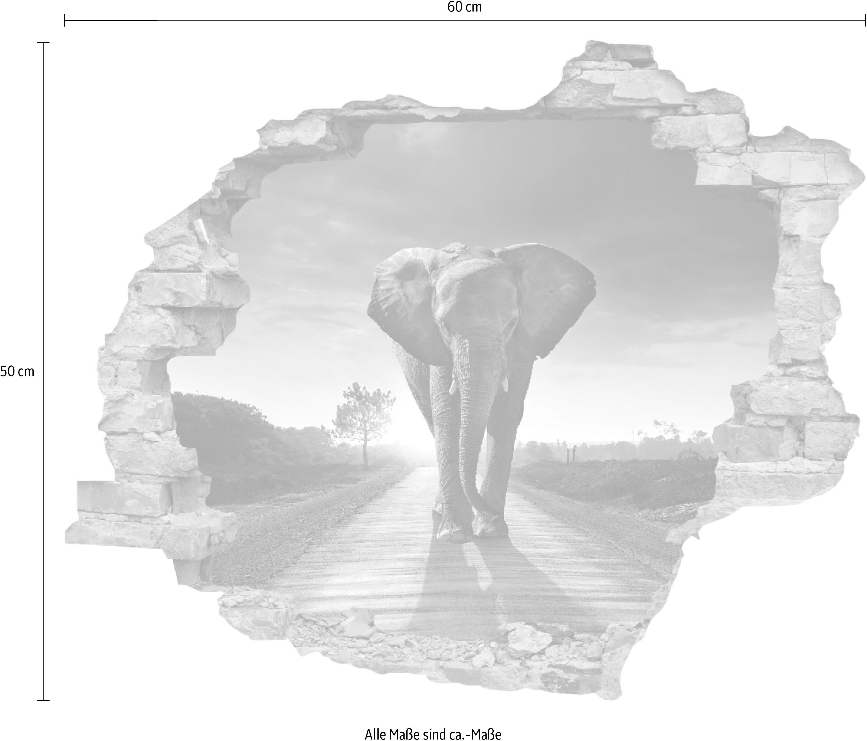 Wandtattoo QUEENCE "Elefant", beige (natur), B:60cm H:50cm T:0,1cm, Wandtattoos, Wandtattoo, Wandsticker, Wandbild, selbstklebend, 3D, Wanddurchbruch natur B/H/T: 60cm x 50cm x 0,1cm, Tiere