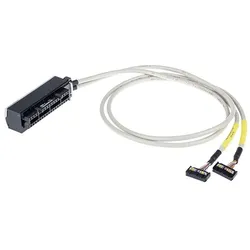 WAGO GmbH &amp; Co. KG Systemleitung f. Rockwell 706-4756/414-500