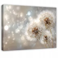 LEINWANDBILD Pusteblumen Blumen Beige 120x80 cm