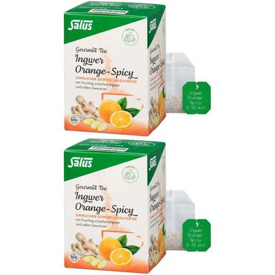 Ingwer Orange Spicy Tee Salus Filterbeutel 2x 2x15 St