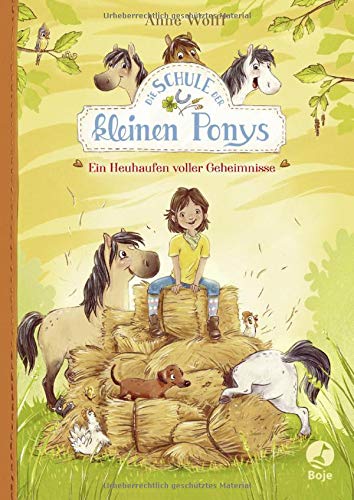 Anne Wolff - Die Schule der kleinen Ponys - Ein Heuhaufen voller Geheimnisse: Band 1 - Preis vom 18.10.2026 19:22:15 h