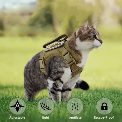 Inspire Curations TactiPaw Adjustable Cat Harness & Leash Set Anti Escape Tactical Vest For Cats & Small Dogs TactiPaw Adjustable Cat Harness & Leash Set Anti Escape Tactical Vest For Cats & Small Dogs