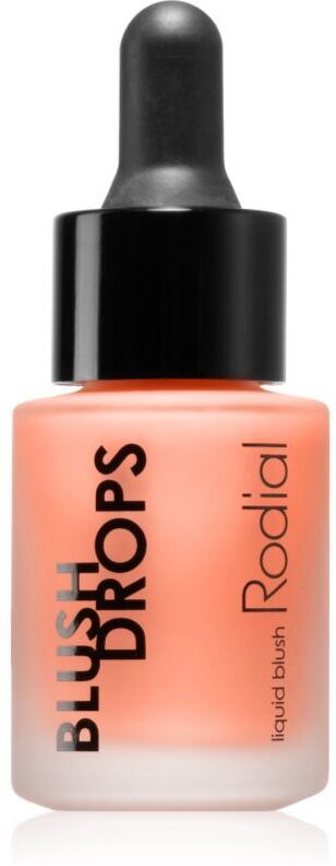 Rodial Blush Drops liquid blusher and lip gloss adds moisture and shine shade Apricot Sorbet 15 ml