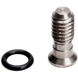 RENZ Spezialschraube M4x10