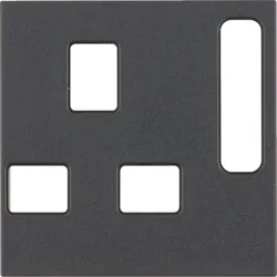 Berker Zentralstück British Std. 3313071606