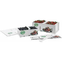 VEPATIM 25x Obstkörbe Beerenkörbe aus Pappe 350x159x118mm mit Neutraldruck für 2,0-2,5 KG