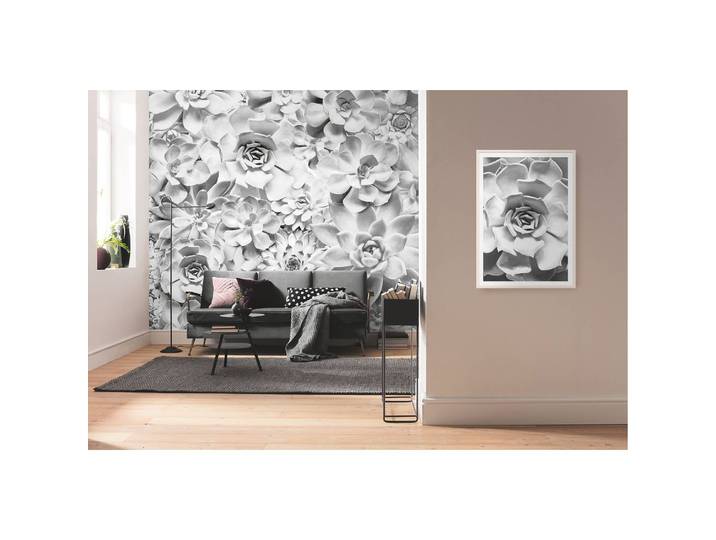 Vlies Fototapete Shades Black and White 400 x 250cm