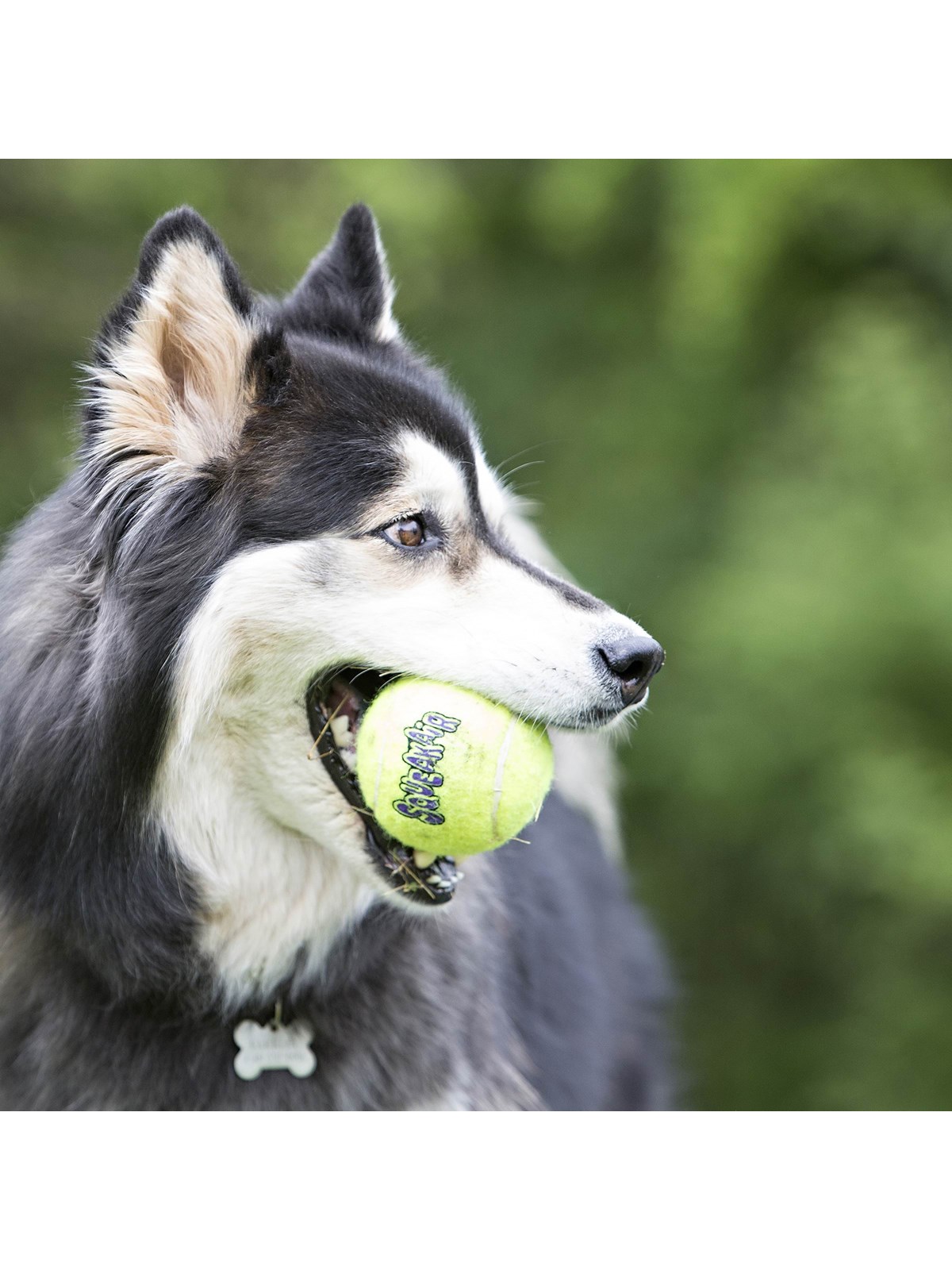 KONG Hundespielzeug SqueakAir Ball XLarge 10cm