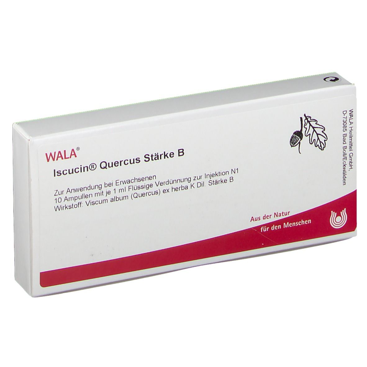Iscucin quercus Stärke B Ampullen 10x1 ml