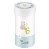 BIOCHEMIE Pflüger 6 Kalium sulfuricum D 6 Pulver 100 g