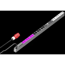 Rittal PDU switched DK 7979.333