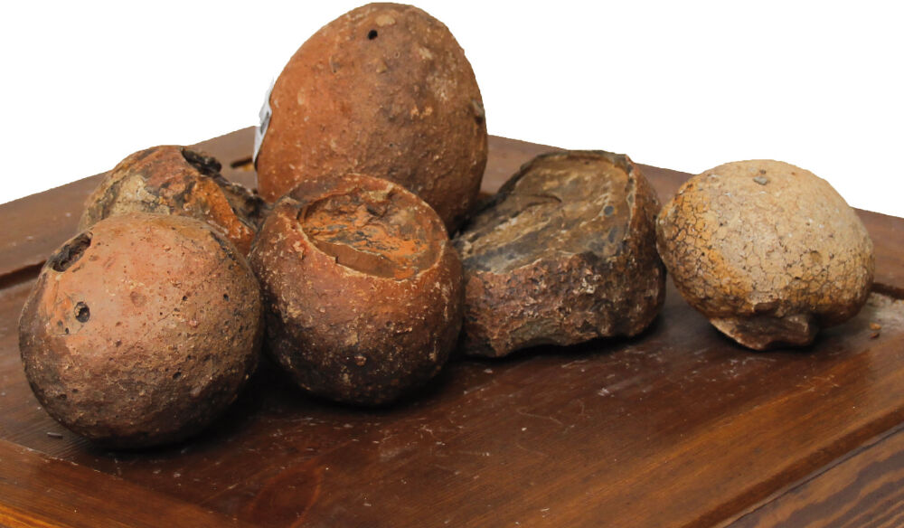 1 pezzo Amtra Roccia Pietra Uova di Dinosauro Naturale per Aquascaping Decorazione Acquario