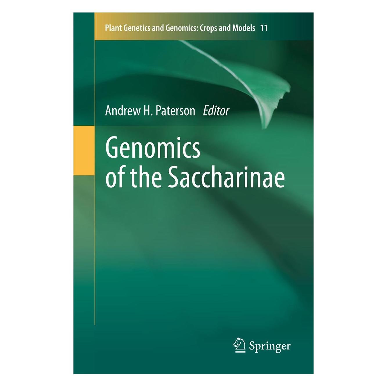Springer Genomics of the Saccharinae (Englisch, Hardcover, Andrew H. Paterson) (9781441959461)