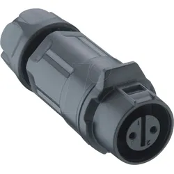 LUM 0260-05 - Quicklock-Kupplung - Größe 12, 5 pol