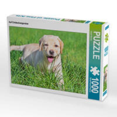 CALVENDO Puzzle Auf Entdeckungsreise 1000 Teile Lege-Größe 64 x 48 cm Foto-Puzzle Bild von Sigrid Starick