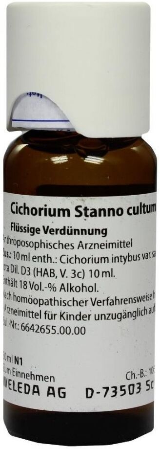 Cichorium Stanno Cultum D3 Dilution