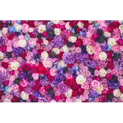 Fototapete PAPERMOON "Blumen", bunt, B:5m L:2,8m, Vlies, Tapeten
