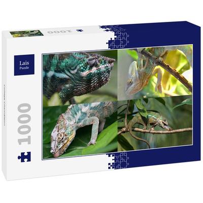 Lais Puzzle Collage Chamäleon 1000 Teile
