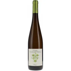 Siebeldingen Riesling vom Muschelkalk Ökonomierat Rebholz 2022 BIO