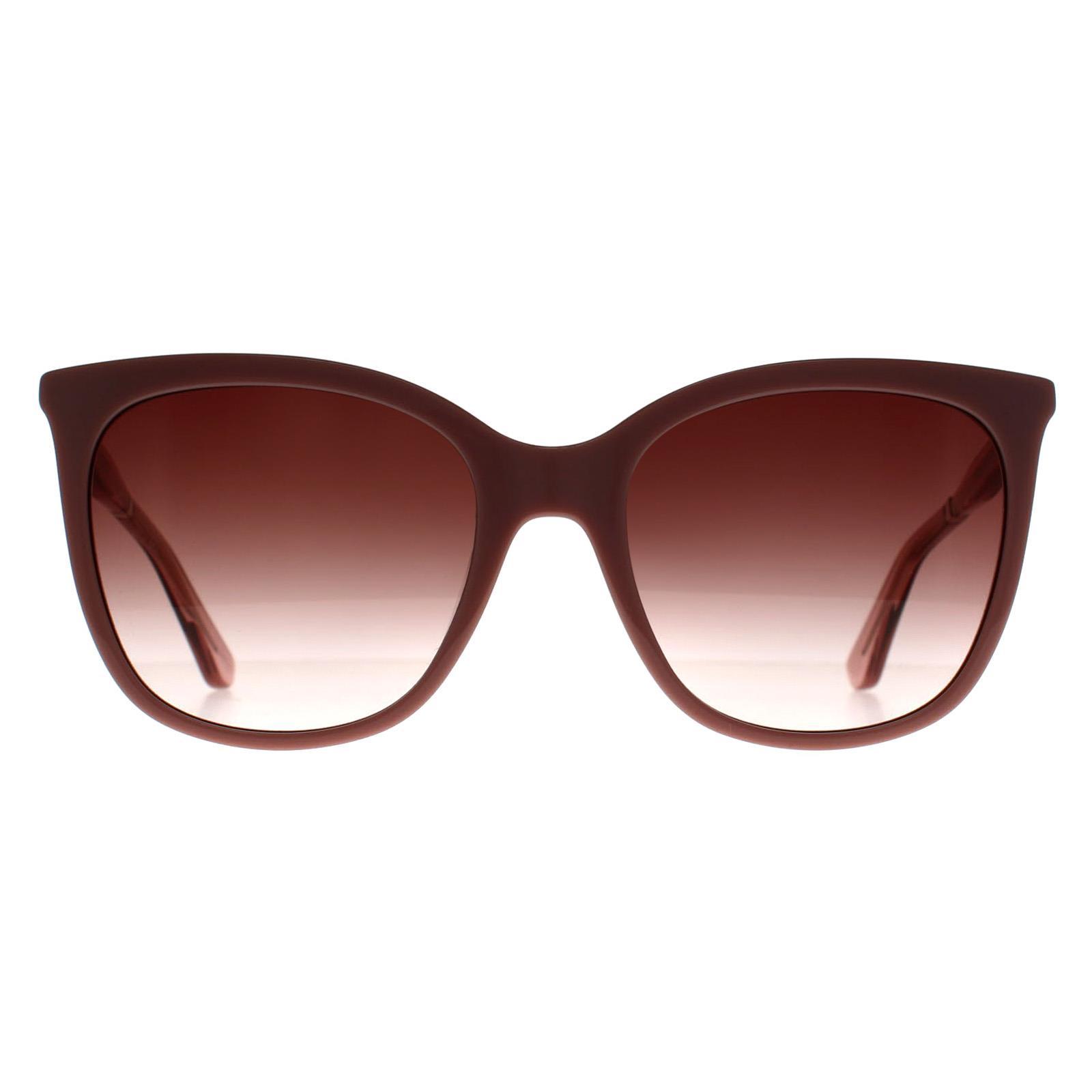 Calvin Klein Cat Eye Dames Roos Roze Bruin Kleurverloop CK23500S