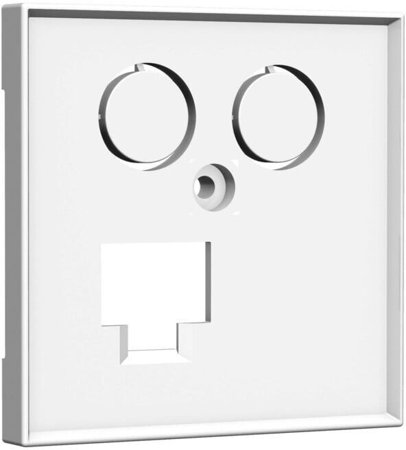 Homeway Plaque centrale 55x55mm avec TV et LAN 55x55 (HW-ZL0RWG55V1)