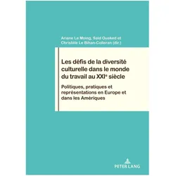Les défis de la diversité culturelle dans le monde du travail au XXIe siècle, Fachbücher von Ariane Le Moing, Saïd Ouaked, Sad Ouaked, Christèle Le Bihan, Philippe Pochet