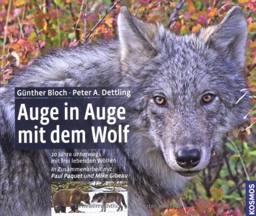 Günther Bloch - Auge in Auge mit dem Wolf: 20 Jahre unterwegs mit frei lebenden Wölfen - Preis vom 01.10.2026 17:08:56 h