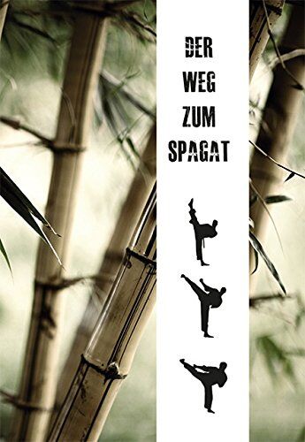 Artjom Maier - Der Weg zum Spagat: Stretchingmethoden für Anfänger und Profis - Preis vom 17.10.2026 19:25:27 h