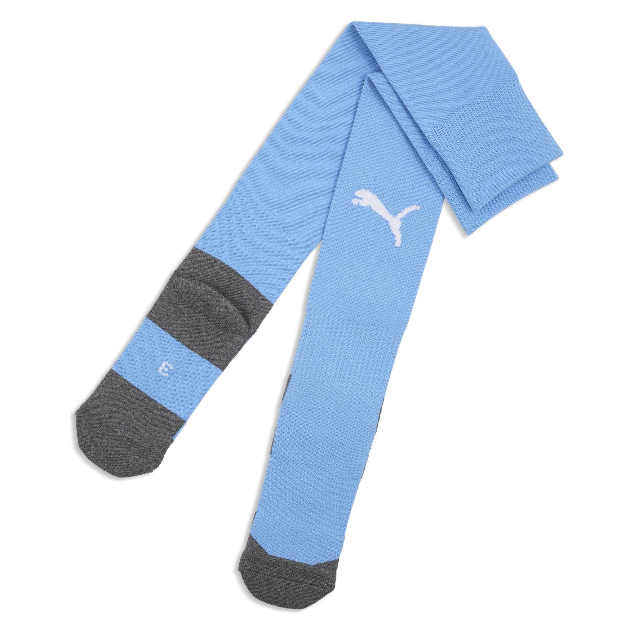 Puma teamLIGA26 Socks Core (M) (707064)