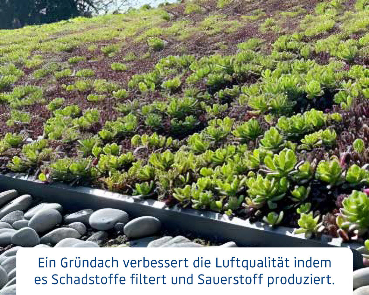 EcoStar Dachrahmen für Gründach Pultdach Typ 1 anthrazit
