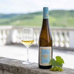 Weingut Robert Weil 2022 Robert Weil Kiedricher Klosterberg 2022 Riesling Deutschland