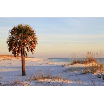 Fototapete PAPERMOON "DÜNEN-MEER SEE KÜSTE NORDSEE OSTSEE STRAND SYLT BAUM", bunt, B:3m L:2,23m, Vlies, Tapeten