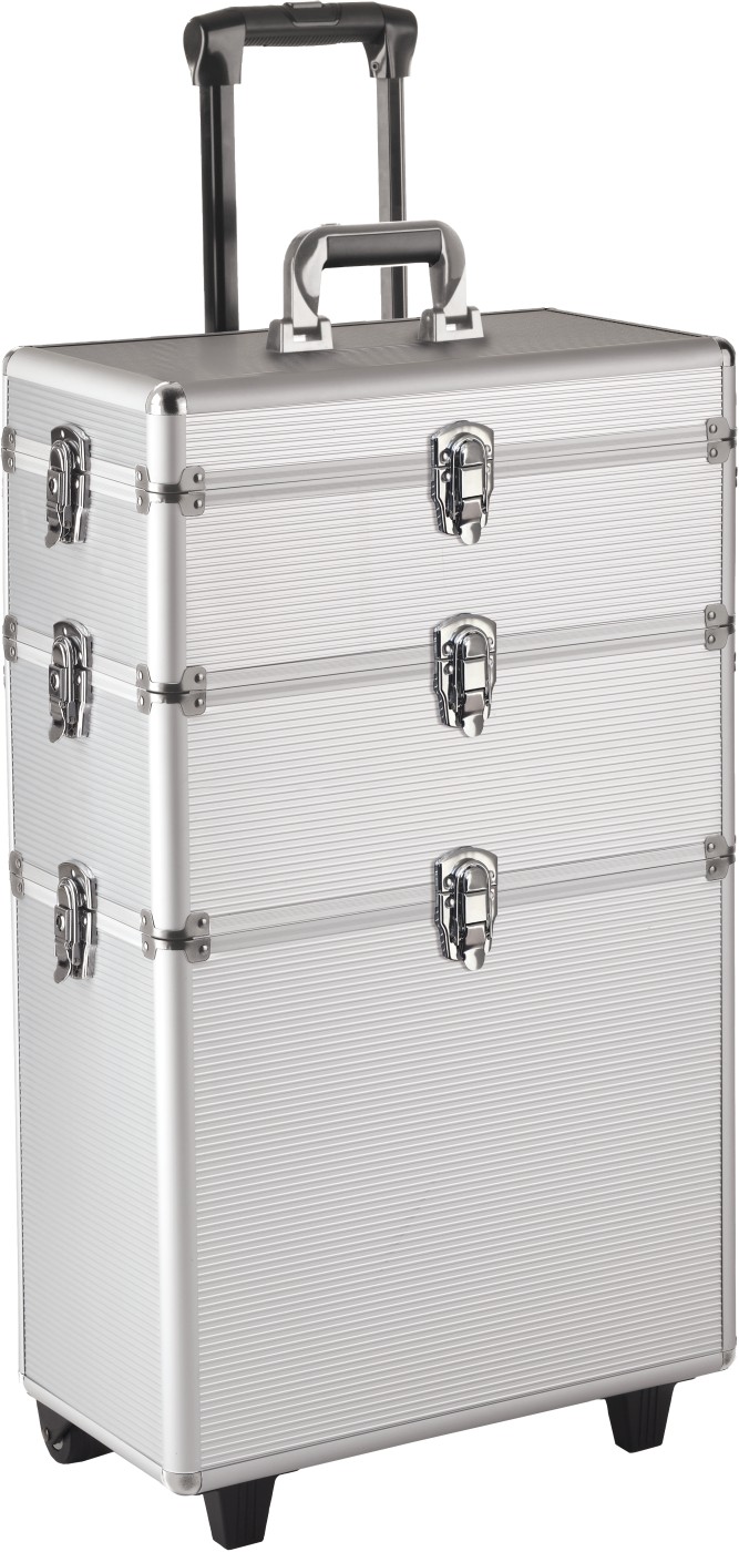 Efalock Rollkoffer SILVER ASSIST 7088261001