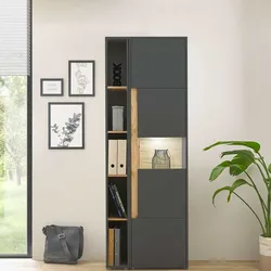 Aktenschrank mit Regal in Anthrazit Wildeichefarben (zweiteilig)