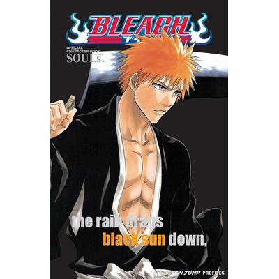 Bleach: Souls. Official Character Book, Taschenbuch von Tite Kubo, KNV Besorgung, 978-1-4215-2053-7