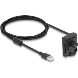 Delock USB 2.0 Kamera 2,1 Megapixel 100° Fixfokus (2.10 Mpx), Webcam, Schwarz