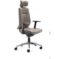 Mayer Sitzmöbel, Drehstuhl 2480, Echtleder Taupe