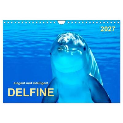 Delfine - elegant und intelligent (Wandkalender 2027 DIN A4 quer), CALVENDO Monatskalender