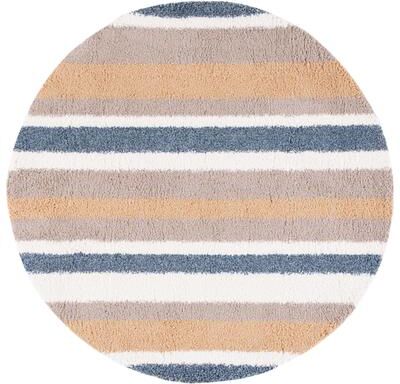 SAFAVIEH Calico Shag Arantxa Stripe 1.5-inch Thick Rug