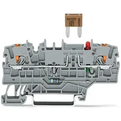 Wago 2202-1981/1000-435 2-Leiter-Sicherungsklemme,für Kfz-Mini-Flachsicherungen,mit Prüfmöglichkeit,grau 220219811000435  - 50 Stück