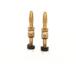 E*THIRTEEN Ventil Set tubeless Quick Fill Plasma Valve | 16-24 mm Felg