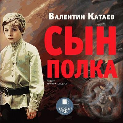 Syn polka - Valentin Kataev, Audio, 4066338370655