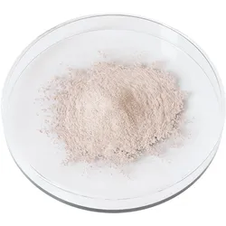 Avea Collagen Activator Himbeer-Minz V2 30 ST