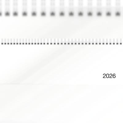 2026 Rido Querterminbuch Sequenz 297×105 mm weiß
