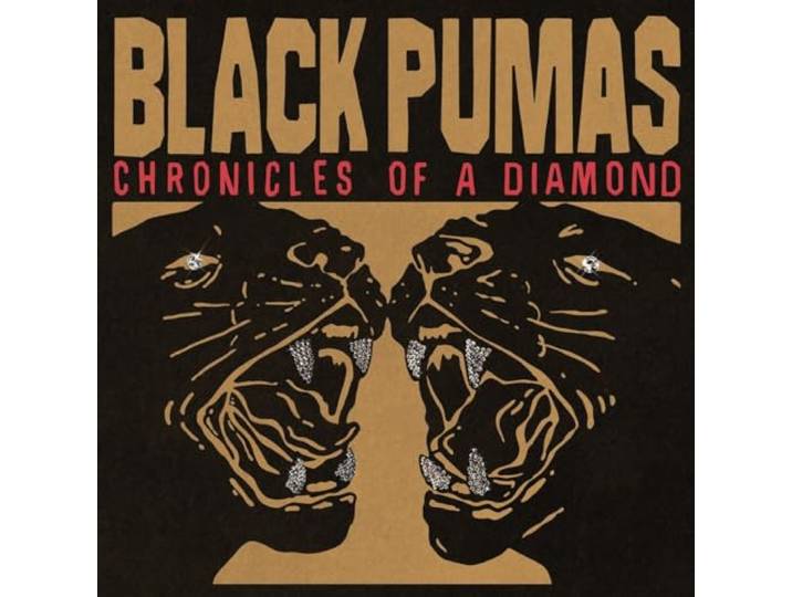 Chronicles of a Diamond