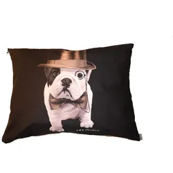 Teo Jasmin Dandy (Hund), Hundebett + Katzenbett