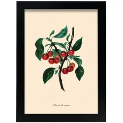 POSTER Kirschbaum A4 Schwarzer Rahmen