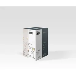 Sektglas-Set MIOVINO (DH 7,40x22,80 cm) - transparent - DH 7,40x22,80 cm