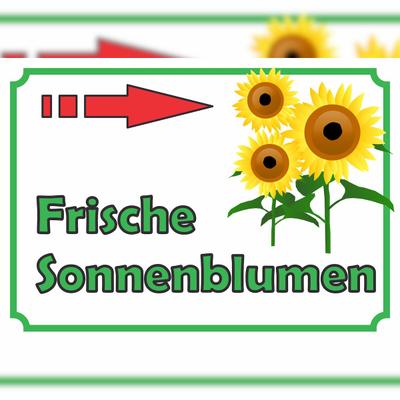 HB-Druck Sonnenblumen Verkaufsschild mit Pfeil rechts Hofladen Verkaufsförderung A1 (594x841mm)