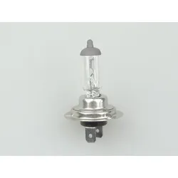 SCT Germany H7 Basic LKW Halogenlampe 24V 70W